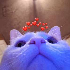 Meet your Posher, Avery